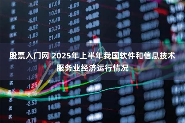股票入门网 2025年上半年我国软件和信息技术服务业经济运行情况