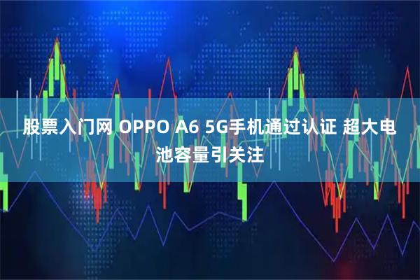 股票入门网 OPPO A6 5G手机通过认证 超大电池容量引关注