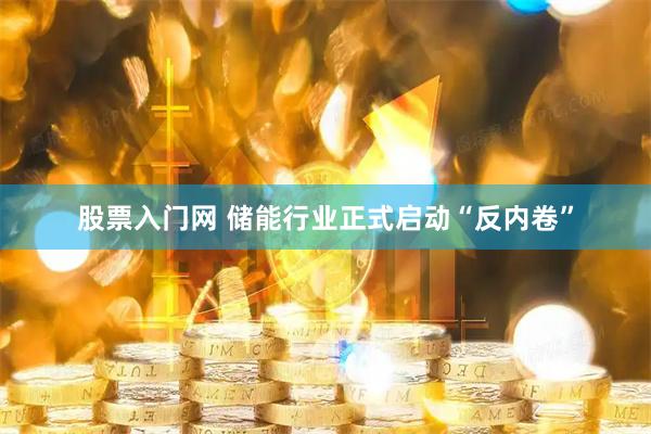 股票入门网 储能行业正式启动“反内卷”