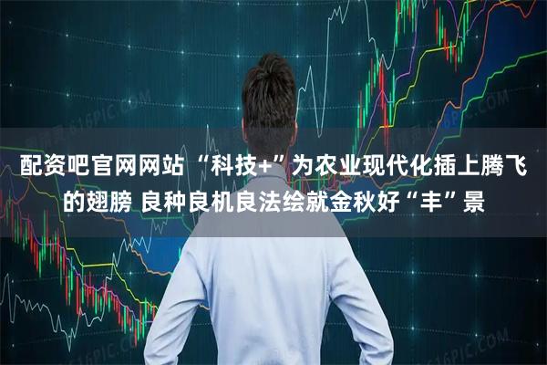 配资吧官网网站 “科技+”为农业现代化插上腾飞的翅膀 良种良机良法绘就金秋好“丰”景