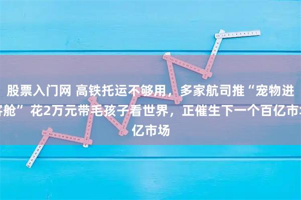 股票入门网 高铁托运不够用，多家航司推“宠物进客舱” 花2万元带毛孩子看世界，正催生下一个百亿市场
