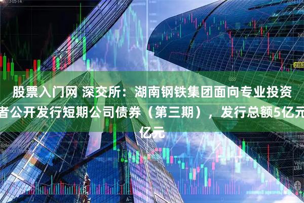股票入门网 深交所：湖南钢铁集团面向专业投资者公开发行短期公司债券（第三期），发行总额5亿元